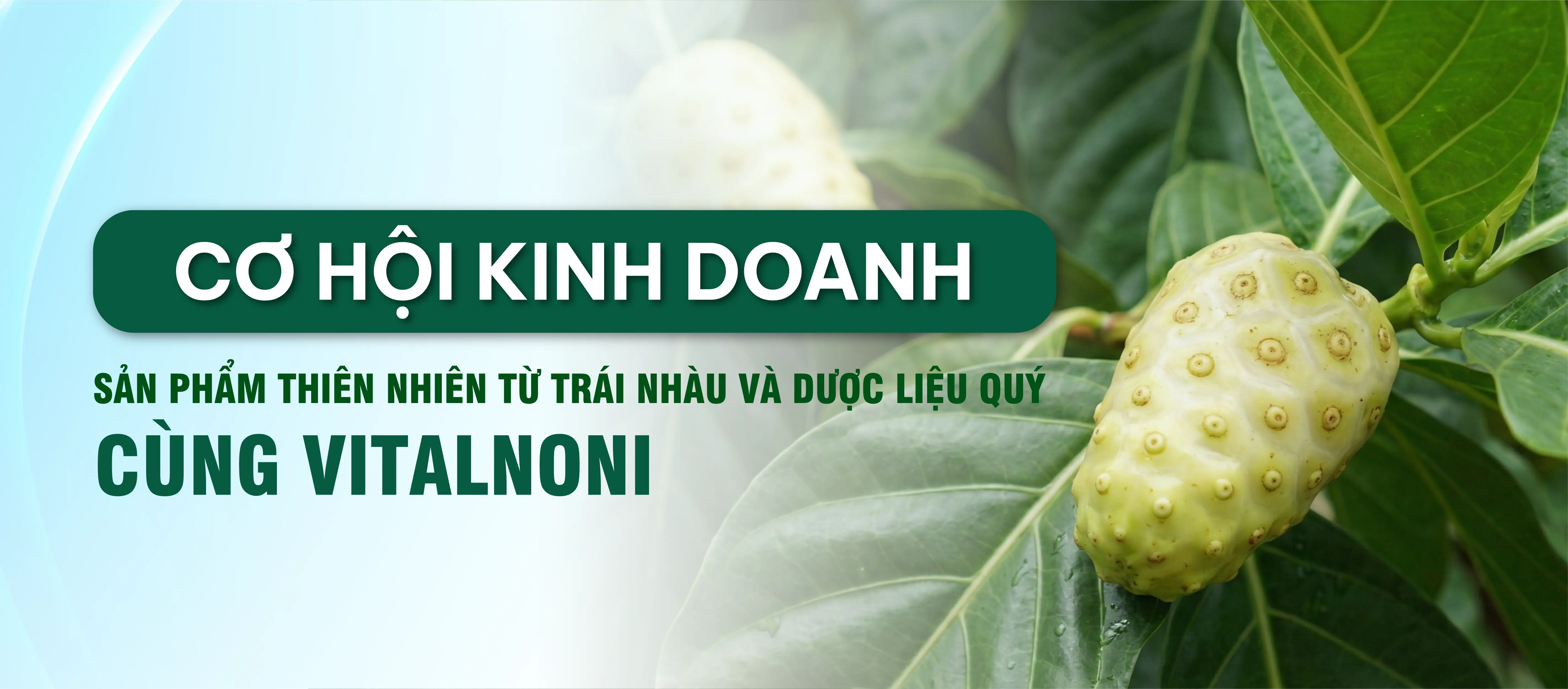 Có nên dùng tinh dầu xông phòng cho bà bầu? Lợi ích và cách Dùng