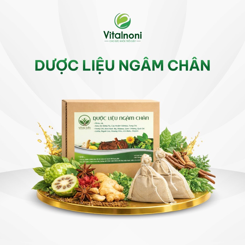 DƯỢC LIỆU NGÂM CHÂN Vital Hộp 15 gói x 15gr/gói
